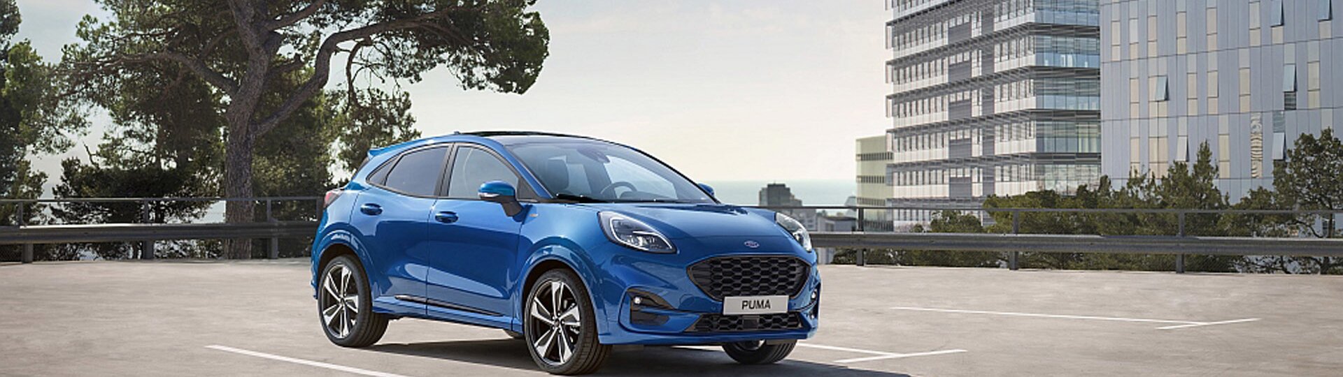 Abbilsug eines Ford Puma